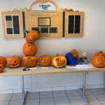 All pumpkin carving submissions